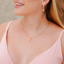 Cargar imagen en el visor de la galería, C Aros 45 Cms