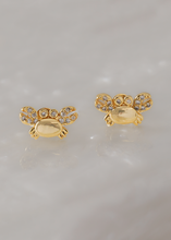 Cargar imagen en el visor de la galería, A Crab Circonias